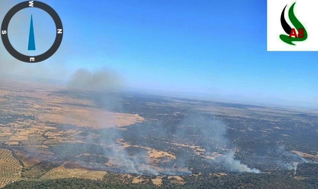 El INFOEX declara nivel 1 en un incendio cercano a la carretera en la provincia de Cáceres