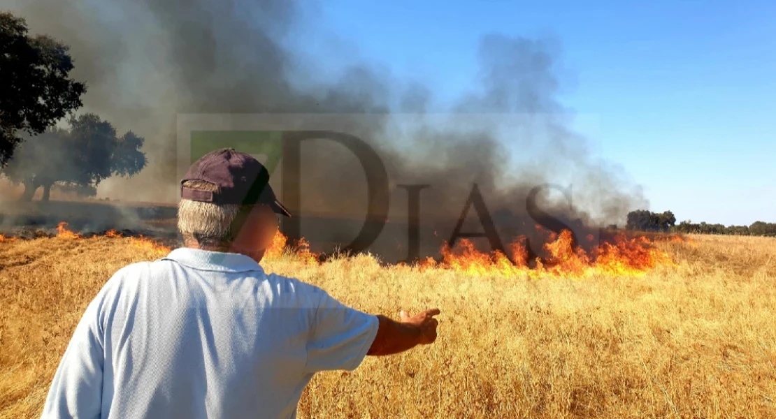 Un pacense podría estar detrás de tres incendios provocados cerca de Badajoz