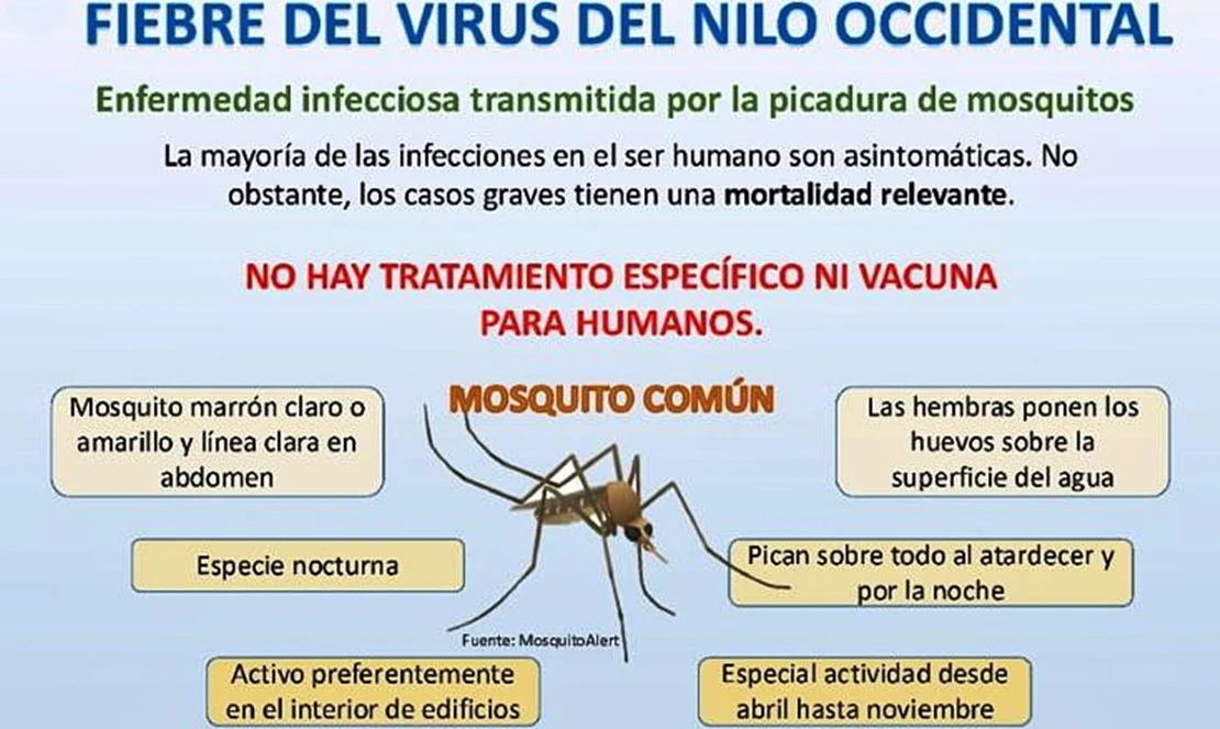 El SES emite recomendaciones para evitar la fiebre del Virus del Nilo