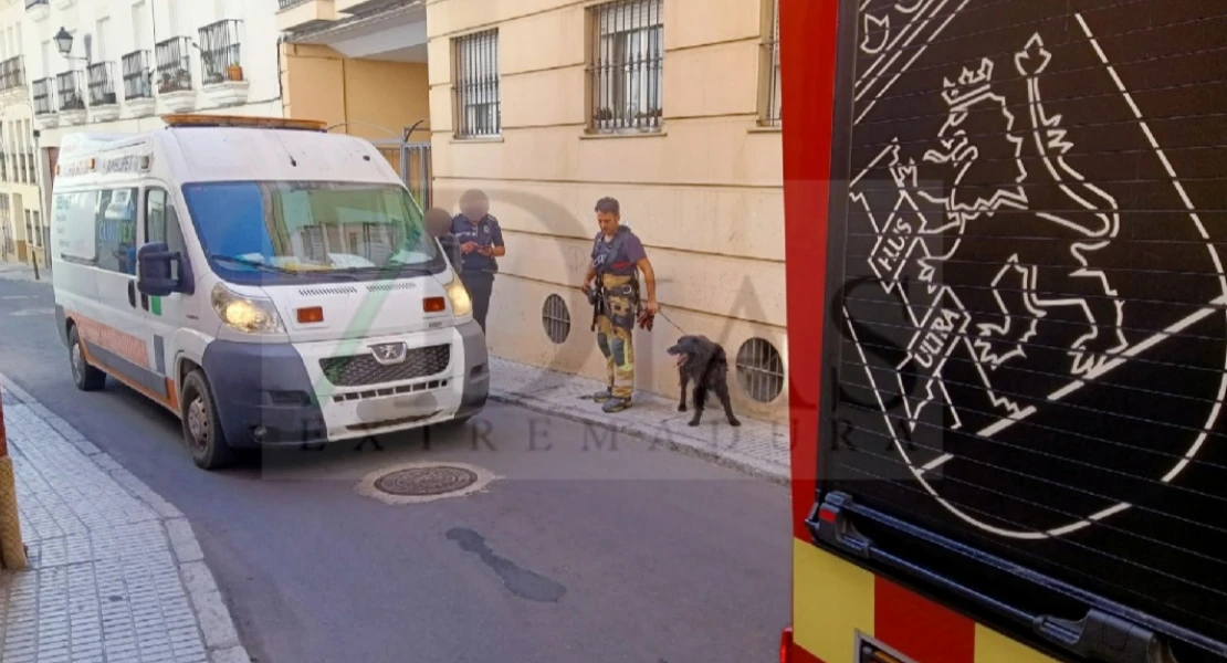 Los bomberos rescatan un perro en Badajoz