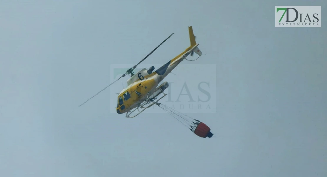 Imágenes y vídeo del incendio a las afueras de badajoz