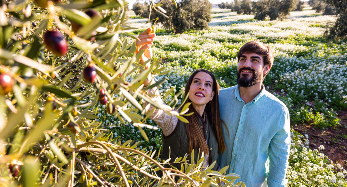 El oleoturismo, la apuesta de Extremadura para poner en valor el 'oro líquido' de la tierra