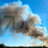 Los Bomberos de Badajoz trabajan en un incendio junto al Cementerio Municipal de Villafranco del Guadiana