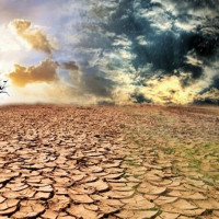 El cambio climático podría triplicar las muertes por calor en los próximos años