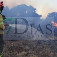 Mejora la situación en el incendio de la Sierra Grajera