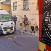 Los bomberos rescatan un perro en Badajoz