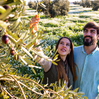 El oleoturismo, la apuesta de Extremadura para poner en valor el 'oro líquido' de la tierra