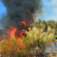 Desactivado el nivel 1 de peligrosidad en el incendio de Valdecaballeros (BA)