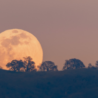 'Esturión', la superluna que podrá disfrutarse en unos días