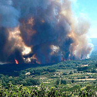 Se han quemado más de 210 hectáreas por incendios forestales esta semana en Extremadura