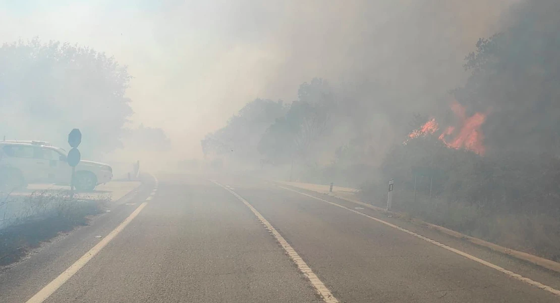 Desoladoras imágenes del incendio de nivel 1 de peligrosidad en La Vera