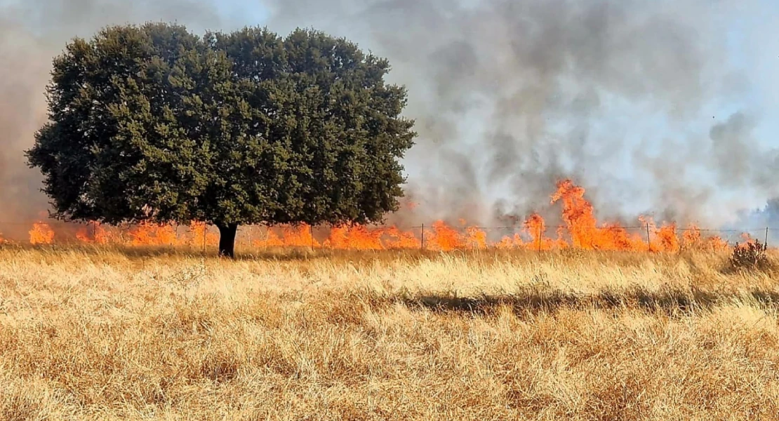 Un nuevo incendio forestal se acerca peligrosamente al municipio de Valdecaballeros