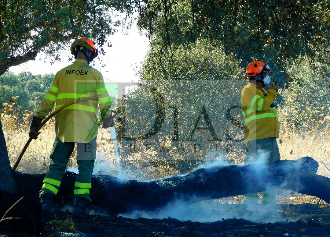 Movilizan un amplio dispositivo por un incendio en La Roca de la Sierra