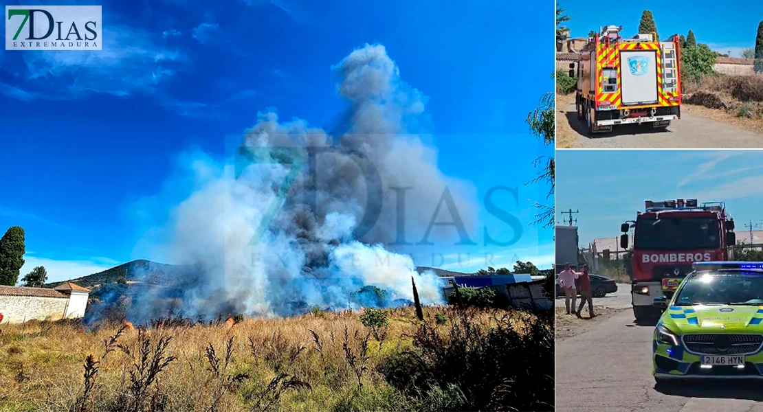 Un amplio dispositivo lucha contra las llamas en Plasencia