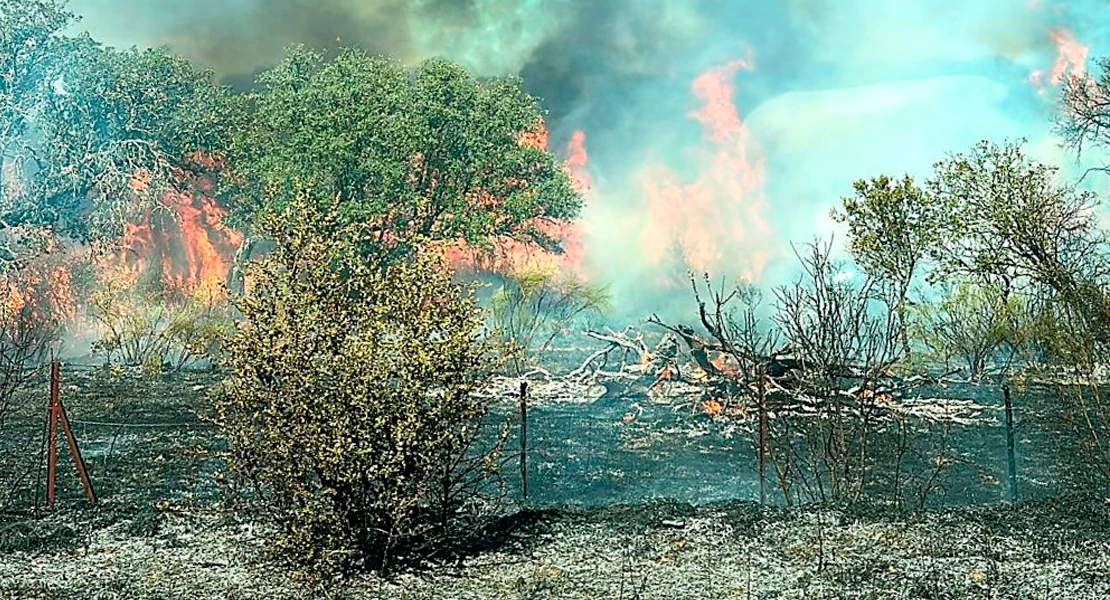 Incendio forestal entre Plasencia y Carcaboso