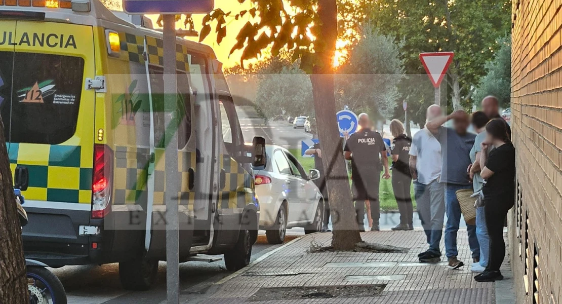 Policía Local interviene en un atropello en Badajoz