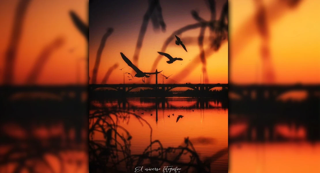 Una fotografía tomada en Badajoz, tercer premio nacional en el certamen ‘Mi Rincón Favorito’