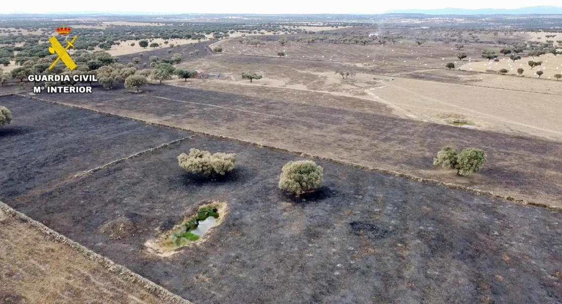 Agentes de SEPRONA detienen al supuesto autor de un incendio forestal en Cáceres