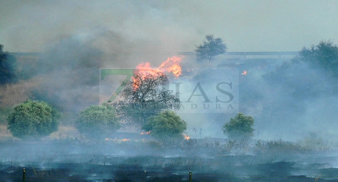 Incendio en la A-5: Denso humo y llamas amenazan la zona