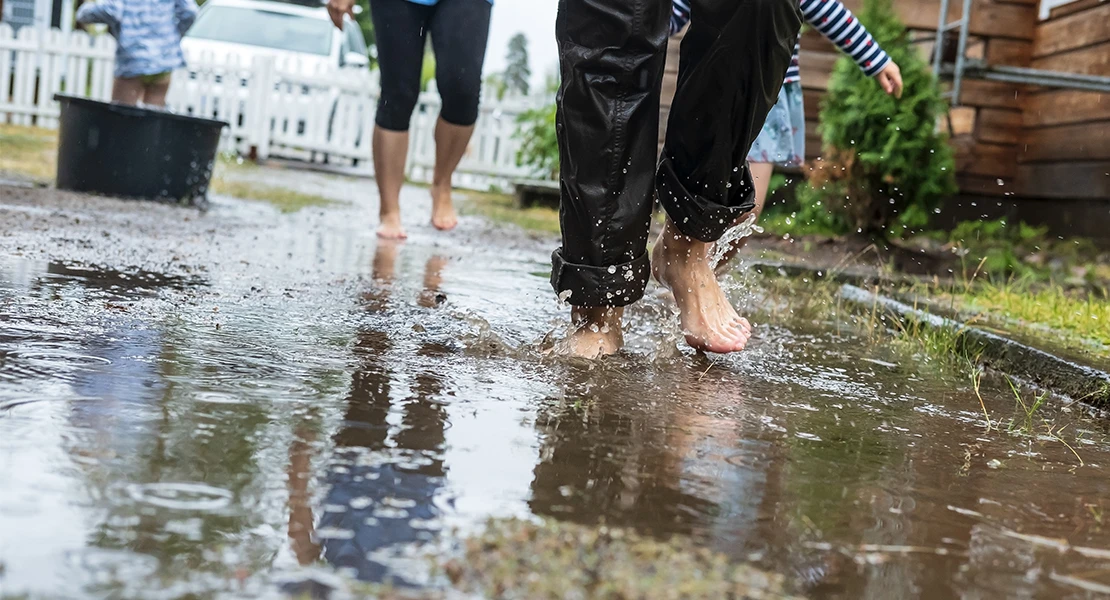 Prevén que las lluvias estrenen un otoño cargado de plagas