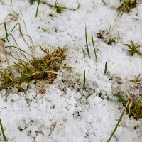 Calculan 16 M€ de daños en el campo extremeño