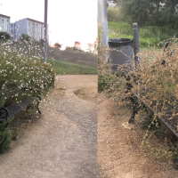 El barrio de Badajoz en el que la maleza se come a los bancos