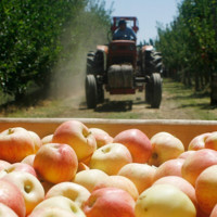 La Diputación de Badajoz impulsa la digitalización del sector agroalimentario