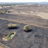 Agentes de SEPRONA detienen al supuesto autor de un incendio en la provincia de Cáceres