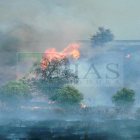 Incendio en la A-5: las llamas amenazan una zona de viviendas