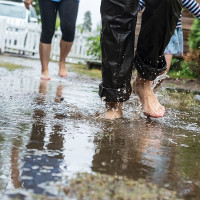 Prevén que las lluvias estrenen un otoño cargado de plagas