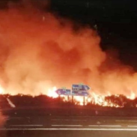 Bomberos forestales de Extremadura evitan que las llamas lleguen a Monfragüe