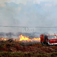 Los incendios forestales han quemado más de 160 hectáreas en Badajoz esta semana