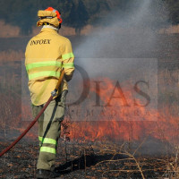 USO denuncia graves "incumplimientos de prevención de riesgos laborales en el INFOEX por parte de la Junta"