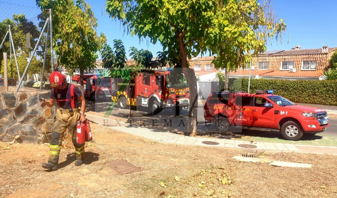 Bomberos trabajan durante una hora en un establecimiento de Badajoz