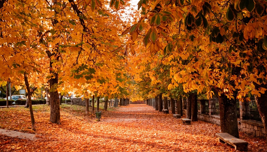 Las mejores actividades para hacer en otoño en el norte de Extremadura