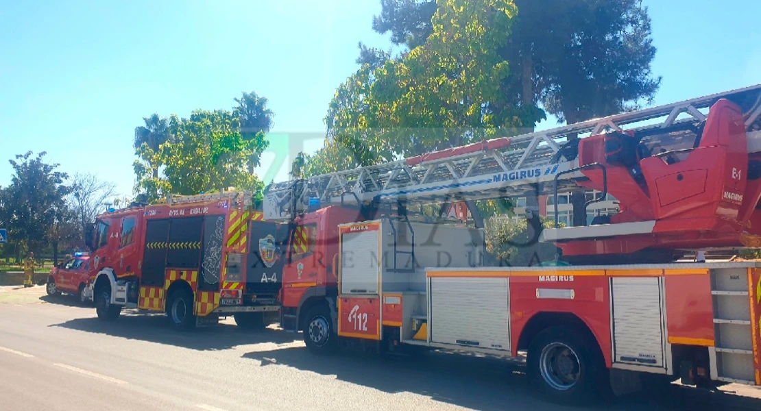 Bomberos trabajan durante una hora en un establecimiento de Badajoz