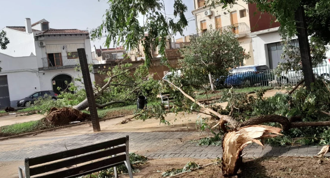 Se confirman los peores pronósticos en Valencia: un centenar de muertos y decenas de desaparecidos