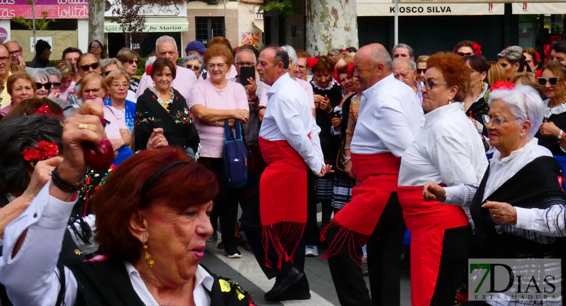 La plaza de San Francisco se llena de alegría y fiesta para celebrar el Día de los Mayores