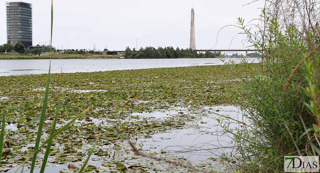 Gragera sobre el estado del río Guadiana: “No queremos que piensen que es culpa del Ayto”