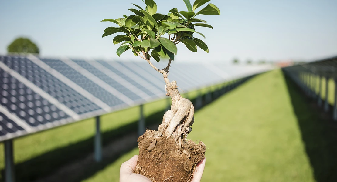 ¿Están de acuerdo los españoles en utilizar el suelo agrícola para las plantas solares?