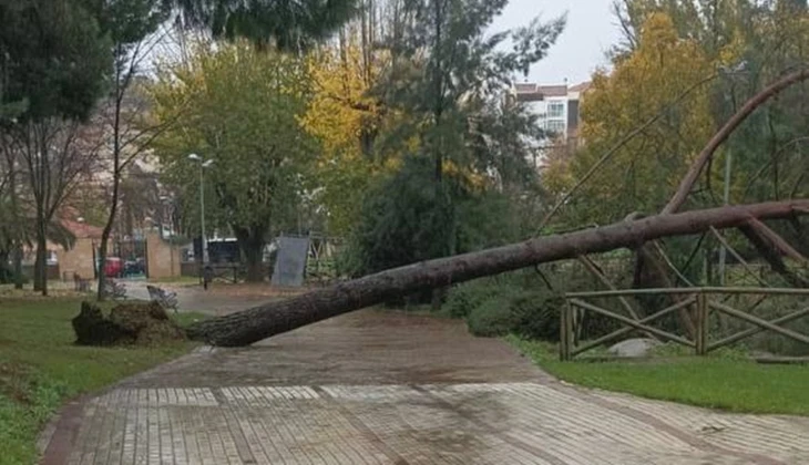 Cierran los parques ante las posibles fuertes rachas de viento en Cáceres