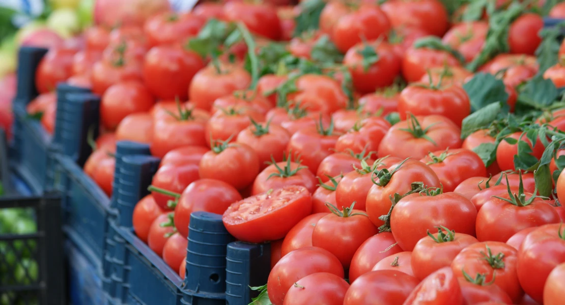 POMODORO: un proyecto para modernizar la industria del tomate