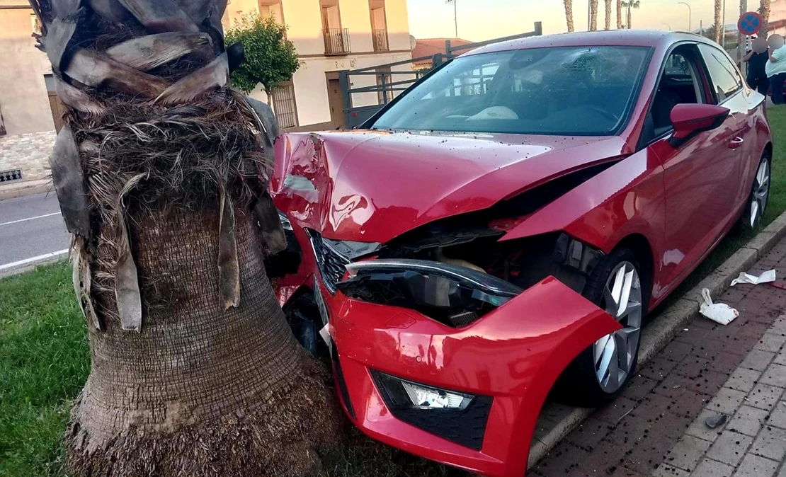 Se empotra contra una palmera en la Albuera (BA)