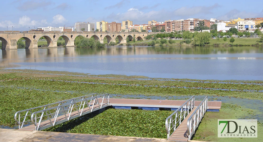 ¿Será posible eliminar especies invasoras en el río Guadiana a su paso por Badajoz?