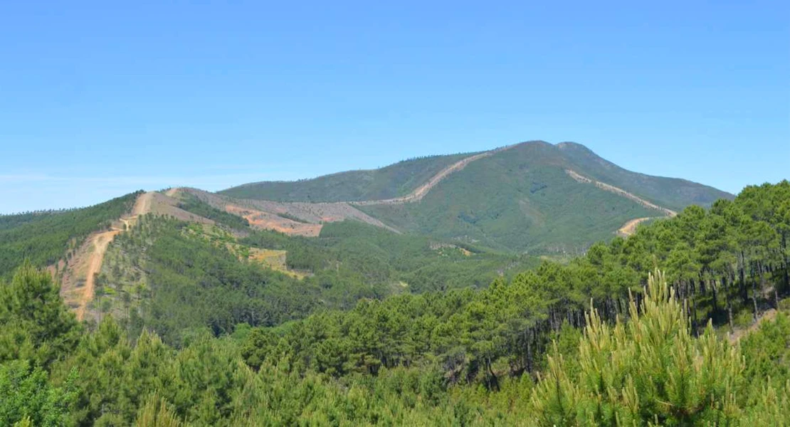 La Junta trabaja con vistas a aprobar el Plan Forestal de Extremadura a lo largo de 2025