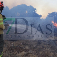 ¿Cuándo acaba la Época de Peligro Alto de Incendios Forestales?