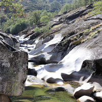 Malestar en Extremadura: "El agua de la Reserva Natural de la Garganta de los Infiernos se empleará para regar cerezos"