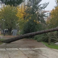 Cierran los parques ante las posibles fuertes rachas de viento en Cáceres