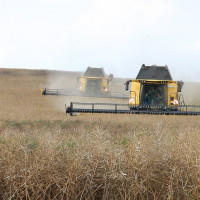 Los agricultores en lucha con las CCAA por las ayudas económicas de la PAC