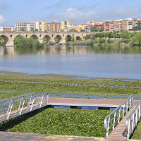 ¿Será posible eliminar especies invasoras en el río Guadiana a su paso por Badajoz?